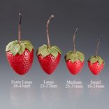 One Realistic Glass Strawberry Sculpture, Hand Blown and Life-Sized 5 small