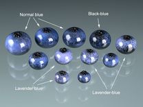 One Realistic Glass Ripe Blueberry Sculpture, Hand Blown and Life-Sized 5 small