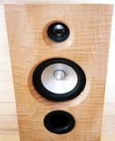 Custom Loudspeakers 2 small