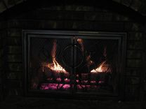 Fireplace Doors 2 small