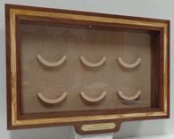 Display Case For Hockey Puck Collection 1 small