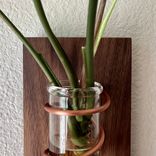Propagation Vase - Walnut And Copper - Happy Together 5 small