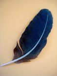"Feather Fall" 2 small