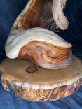 Jumiper Taxidermy Display Stand 5 small