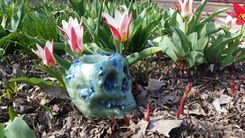 Crystal Skull Water Pipe 3 small