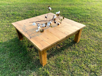 Rustic White Cedar Coffee Table 2 small