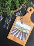 Hand-Painted Ceramic Cheese Plates & Coasters 2 small