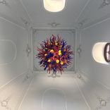 The Orangerie' Custom Lighting Installation | Hand Blown Chandeliers - Custom Chandeliers 1 small