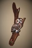 Owl On Driftwood Wood Carving 1 small