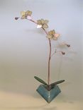 Orchid-Kaliedoscope-In Ever-Blooming 3d Iridescent Ecru Stained Glass 1 small