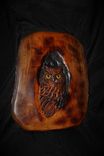 Wood Owl Wall Art 4 small