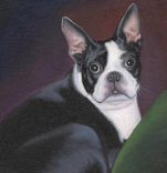 "Rc" Before And After Photos 1 small