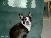 "Rc" Before And After Photos 2 small