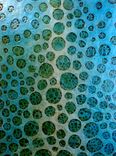 Fine Art / Paintings 10 small