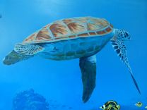 Undersea Mural - Hansen Residence - Gracie's Room 12 small
