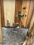 Driftwood Flower Box Planter 3 small