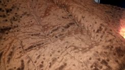 Oversized Caramel Comforter 1 small