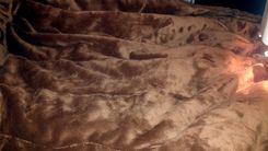 Oversized Caramel Comforter 2 small
