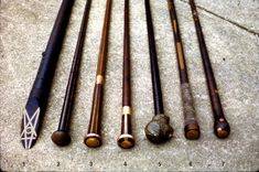 Walking Sticks 1 small