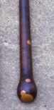 Walking Stick 3 small