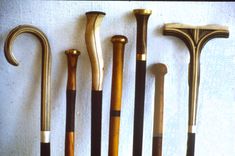 Walking Sticks 3 small