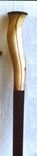 Corkscrew Willow Walking Cane 2 small