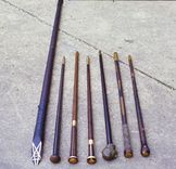 Walking Sticks 2 small
