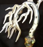 Wind Swept Tree Dish 3 small