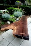 Live Edge Walnut Bench 1 small