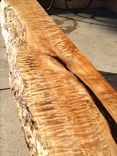 Large Single Slab Redwood Table With Quilted Maple Benches 3 small