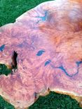 Exotic Burl Coffee Table 2 small