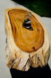 Guanacaste Coffee Table 2 small