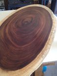 Custom Guanacaste Coffee Table 2 small