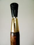 Walking Cane 4 small