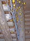 Aspen Tree Stair Railing 1 small