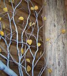 Aspen Tree Stair Railing 3 small