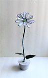 Gerbera Daisy In Snowy White  Stained Glass 1 small