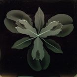 3d Layered Decorative Art Display - Iris Flower Etched Glass With Wood Stand 6 small
