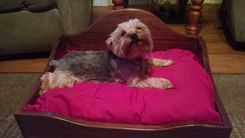 Custom Pet Beds 3 small