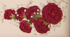 Memorial Pressed Flower Art (Flowers Gathered From A Funeral) 4 small