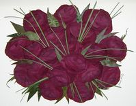 Preserved Bridal Bouquet....With Grass! 1 small