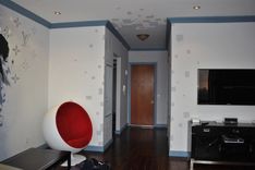 Mural/Decorative Painting 5 small