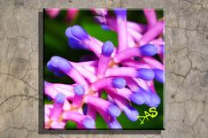 Photo Print On Canvas 5 small
