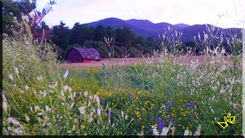 Photography Landscapes 1 small