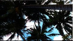Photography "Nature" 1 small