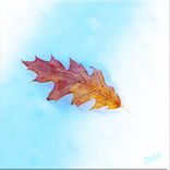 Digital Art On Canvas 3 small