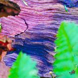 Digital Art On Canvas 5 small