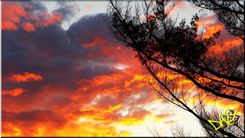 Photography "Sunsets" 3 small