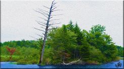 Photography Landscapes 4 small