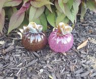 Blown Glass Pumpkin 1 small